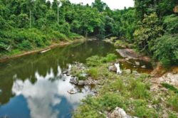 Khao Sok Thailand Nationalpark