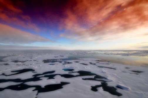 Kreuzfahrt in die Arktis und Antarktis