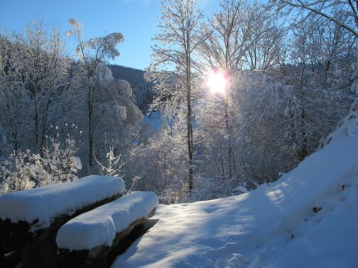 Schwarzwald Winter