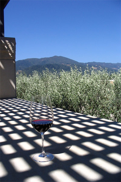 Im Weinanbaugebiet Napa Valley, Kalifornien