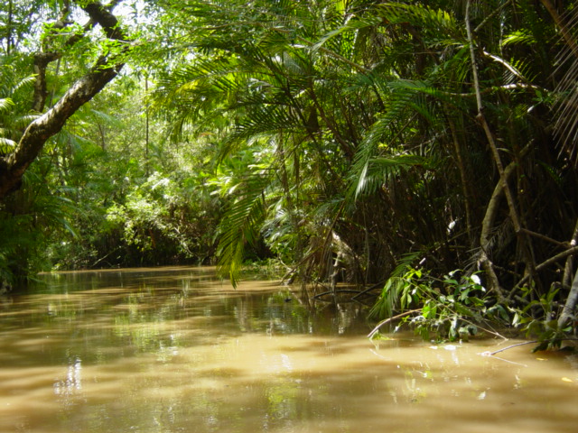 Erlebnis Amazonas – Survival Tour und Selbsterfahrung