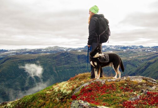 Urlaub mit Hund in den Bergen