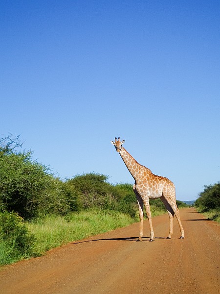 Erlebnisreisen Afrika