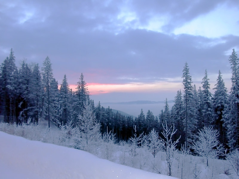 Skisport in New Mexico: Taos Ski Valley und mehr