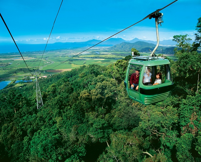 Per Skyrail über den australischen Regenwald