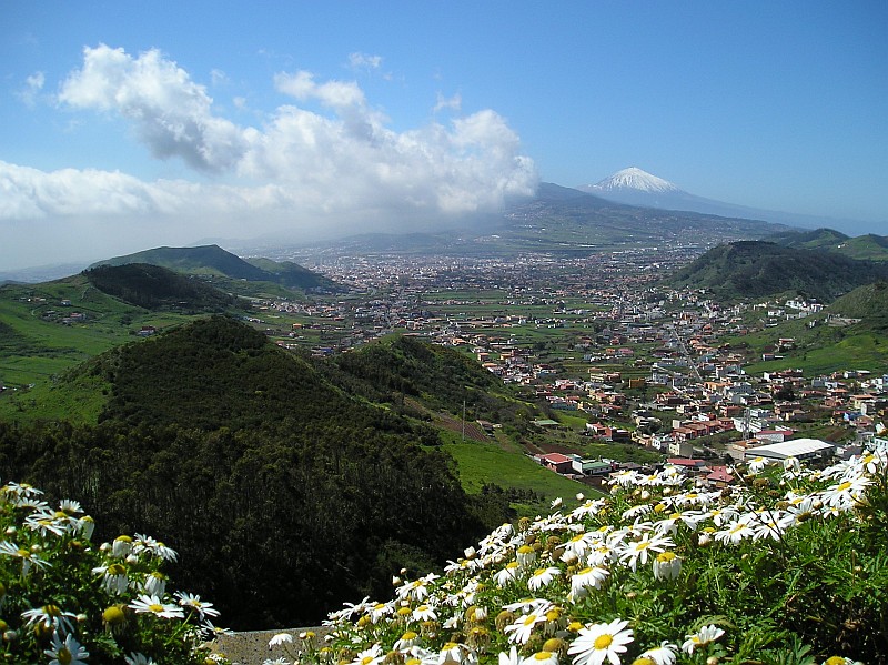 Urlaub auf Teneriffa